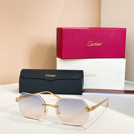 Top quality Cartier sunglasses, model CT0493S, size 60-16-140, color-changing lenses.